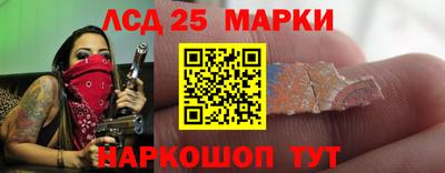 гидропоника Кузнецк
