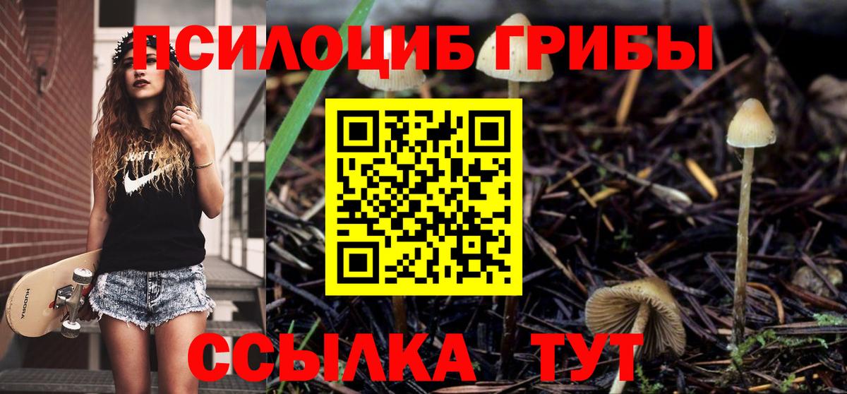 Галлюциногенные грибы прущие грибы Вязники
