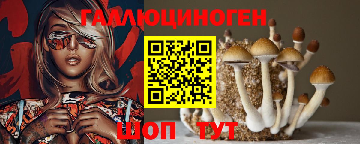 Псилоцибиновые грибы Cubensis  Вход с VPN  Вязники 